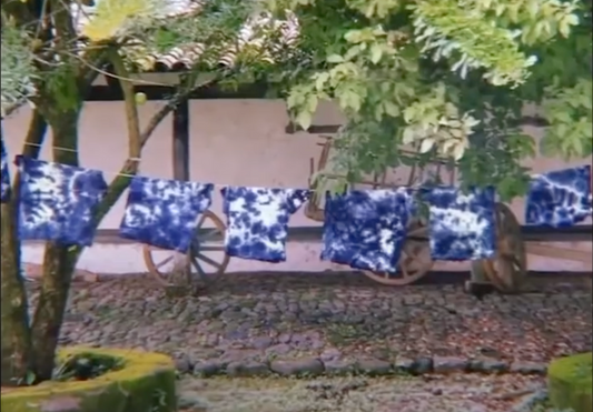 Reviving Centuries-Old Traditions: Exploring All-Natural Indigo Dying at Hacienda San Juan Buenavista in El Salvador