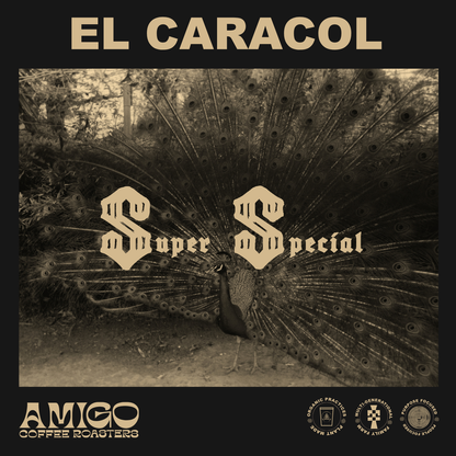 EL CARACOL