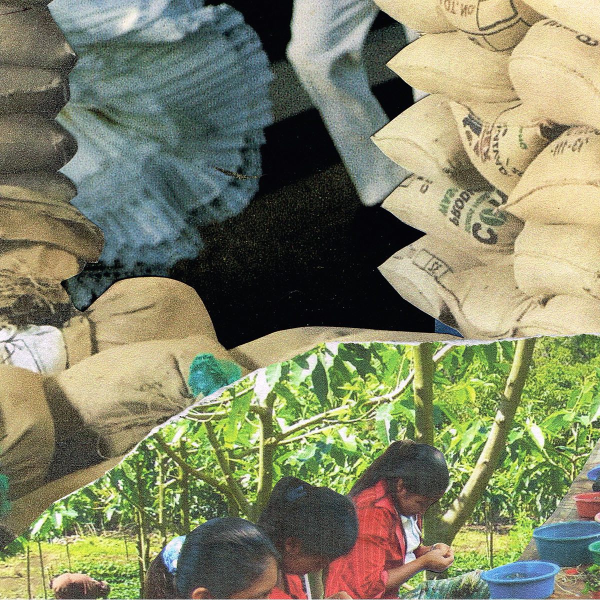 graphic of worker and coffee bags